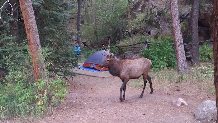 Aspenglen Campground Picture 5