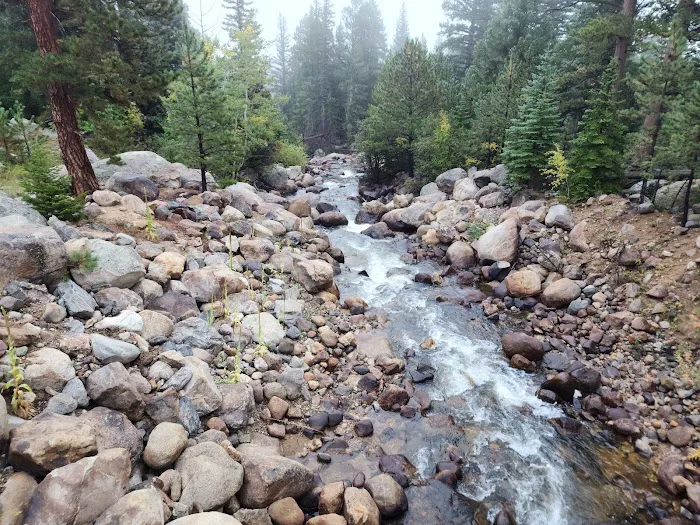 Aspenglen Campground Picture 10