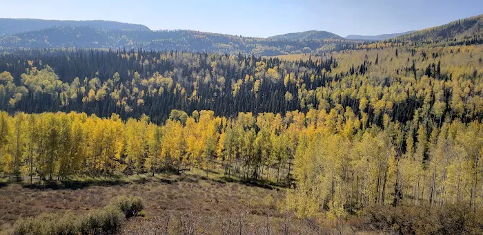 Chapman Reservoir Campground Picture 7