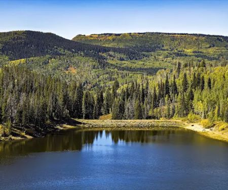 Chapman Reservoir Campground