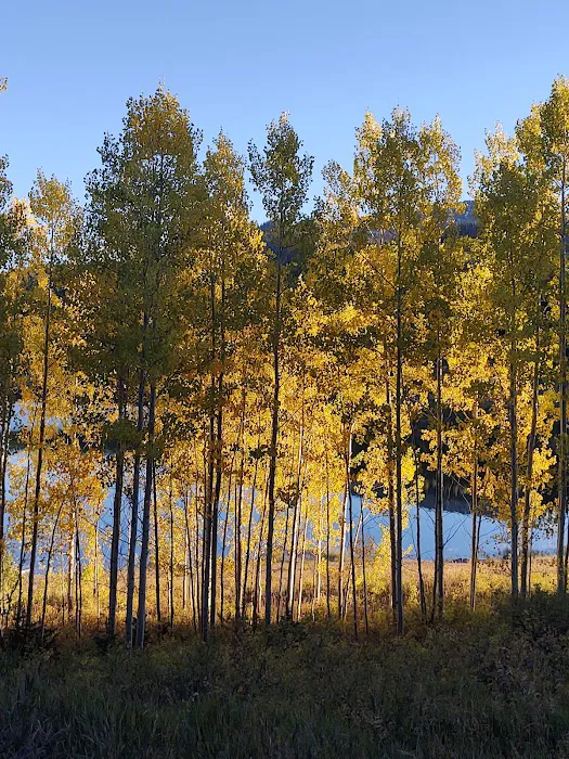 Chapman Reservoir Campground Picture 5