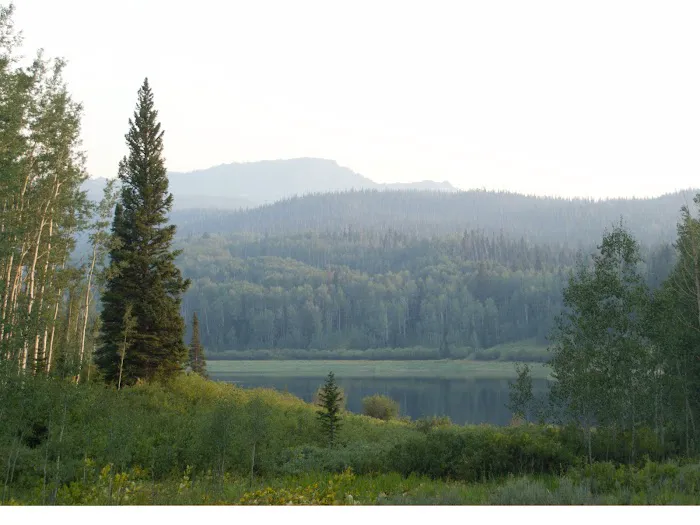 Chapman Reservoir Campground Picture 4