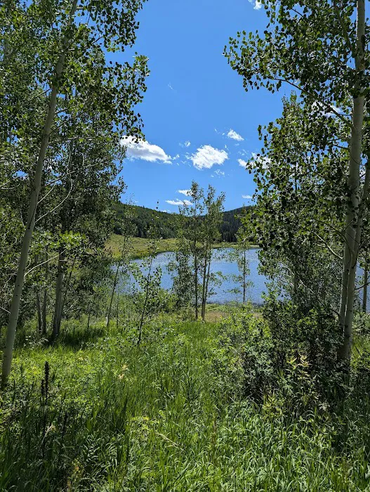 Chapman Reservoir Campground Picture 2