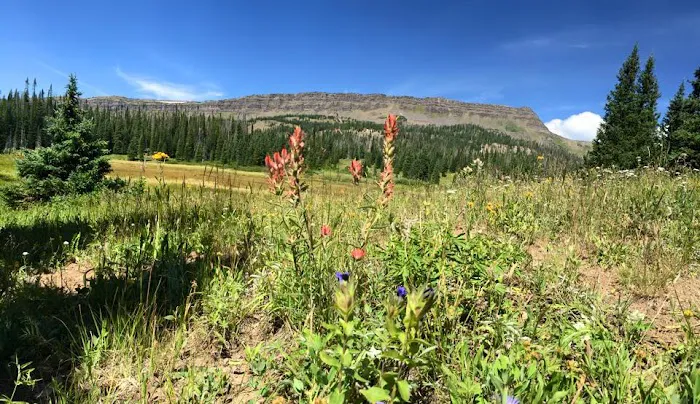 Bear Lake Campground Picture 6