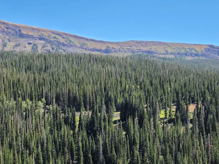 Bear Lake Campground Picture 3
