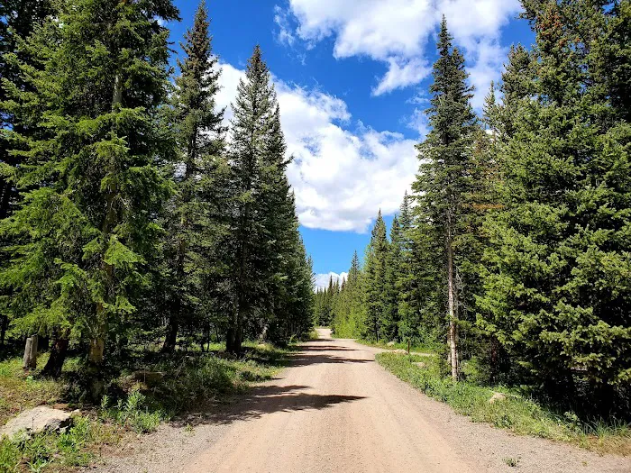 Bear Lake Campground Picture 10