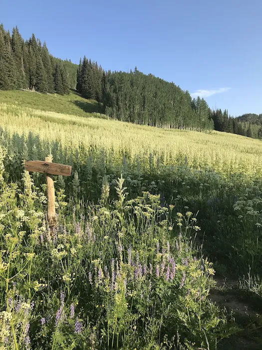 Sheriff Reservoir Campground Picture 7
