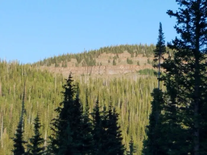 Sheriff Reservoir Campground Picture 4