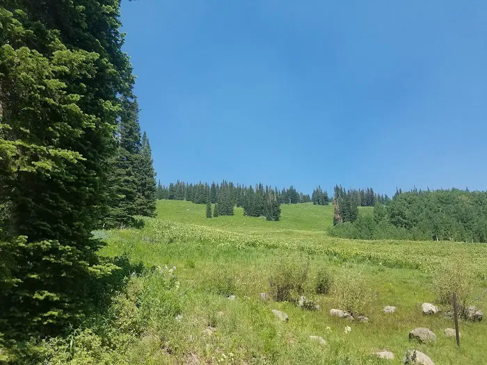 Sheriff Reservoir Campground Picture 8