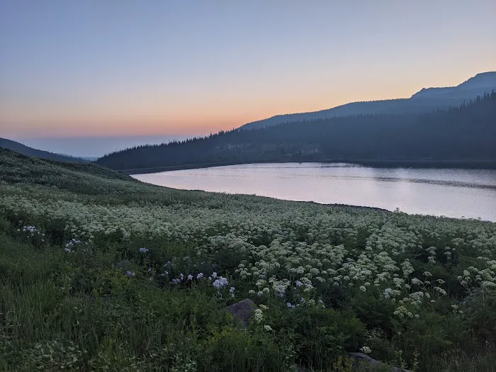 Sheriff Reservoir Campground Picture 5