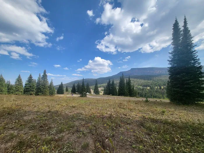 Horseshoe Campground Picture 5