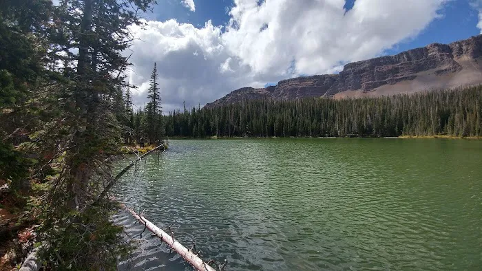Horseshoe Campground Picture 3
