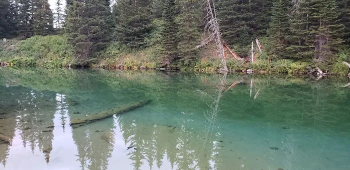 Cold Springs Campground Picture 8