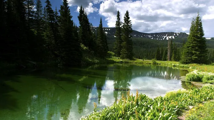 Cold Springs Campground Picture 4
