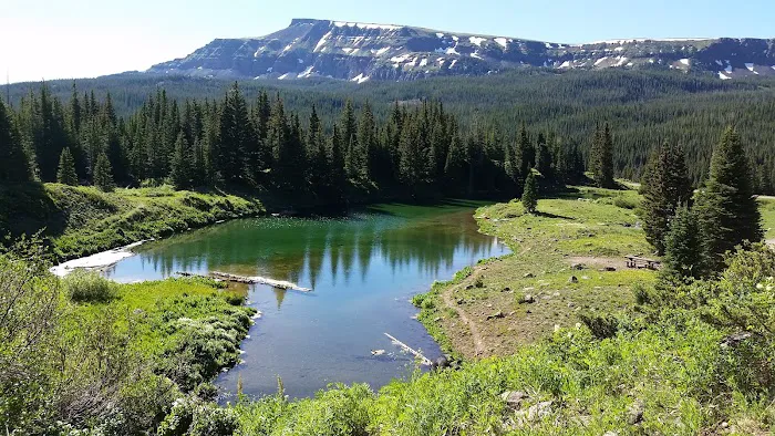 Cold Springs Campground Picture 9