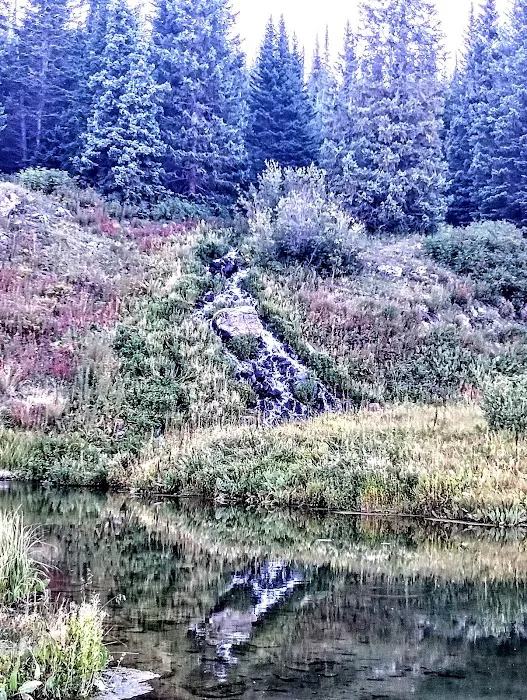Cold Springs Campground Picture 10