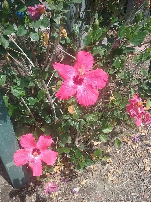San Bernardino RV Park Picture 10