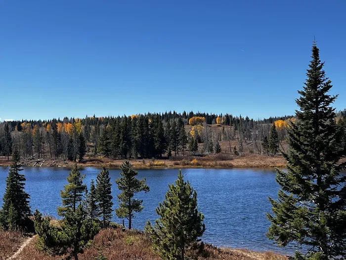 Dumont Lake Picnic Site (recgovnpsdata) Picture 7