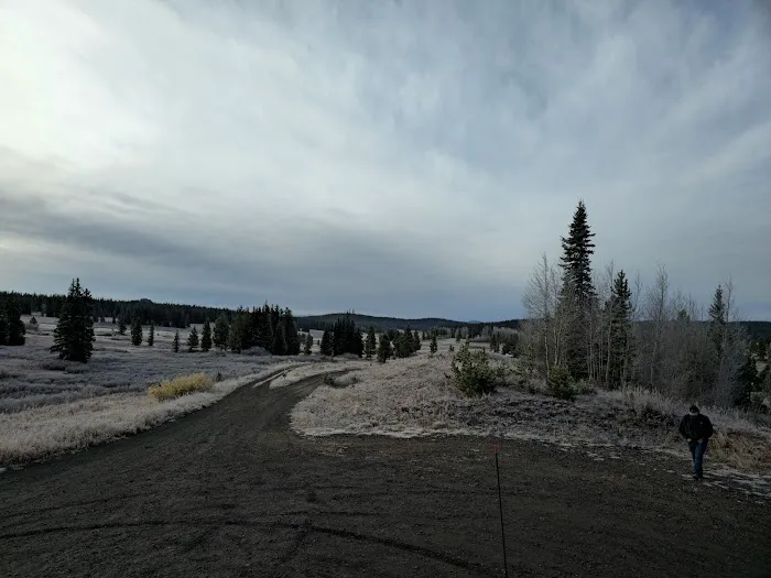 Dumont Lake Picnic Site (recgovnpsdata) Picture 5