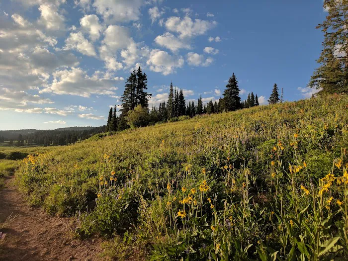 Dumont Lake Picnic Site (recgovnpsdata) Picture 9