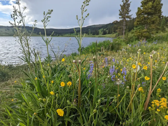 Dumont Lake Picnic Site (recgovnpsdata) Picture 1