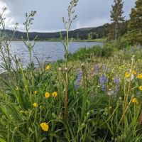 Dumont Lake Picnic Site (recgovnpsdata) ico