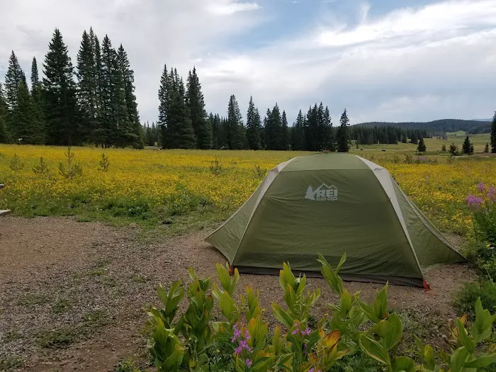Dumont Lake Campground Picture 9
