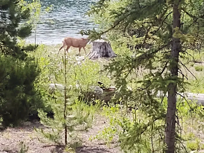 Hidden Lakes Campground Picture 8