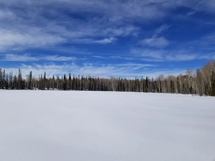 Dry Lake Campground Picture 6