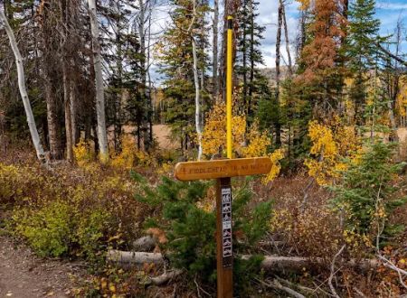 Dry Lake Campground