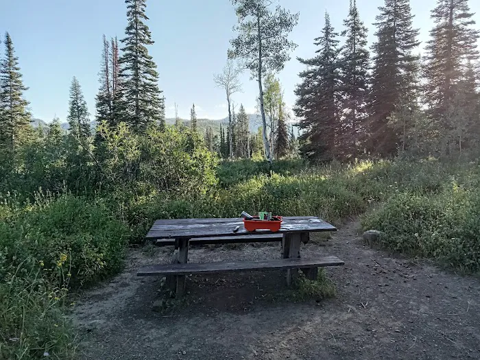 Dry Lake Campground Picture 5