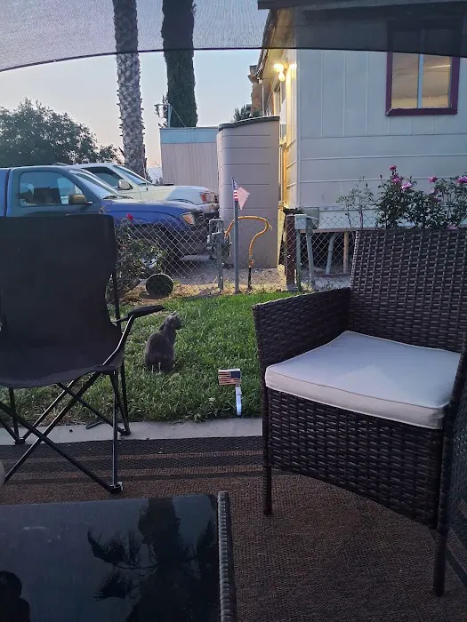 Emerald Oasis Trailer Park Picture 4