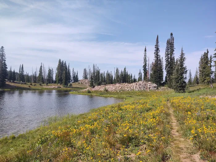 Summit Lake Campground Picture 4