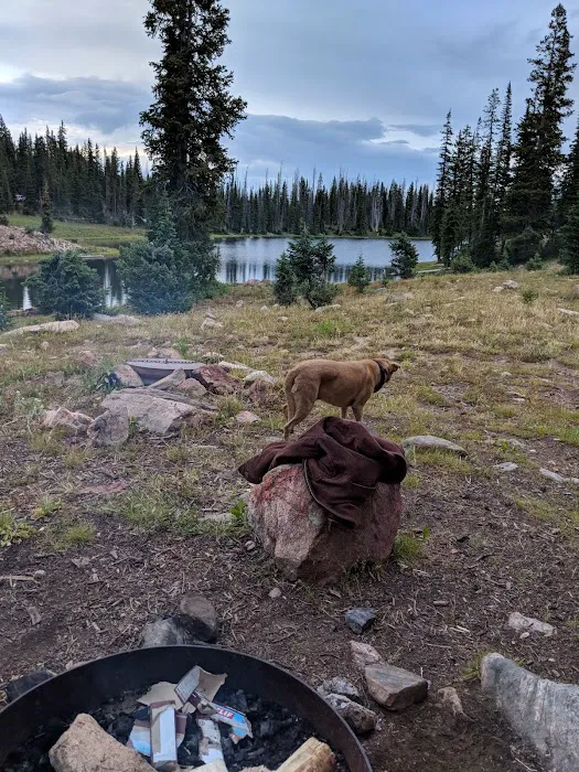 Summit Lake Campground Picture 8