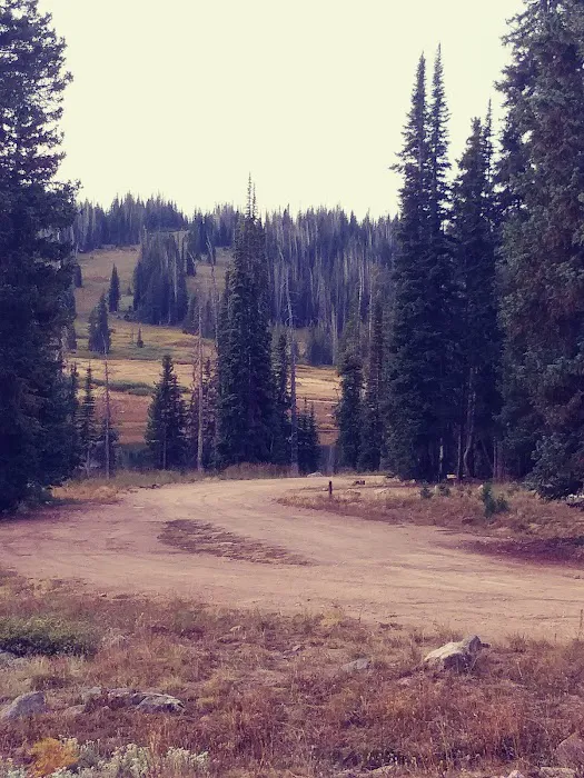 Summit Lake Campground Picture 7