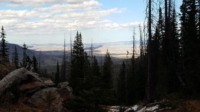 Summit Lake Campground Picture 3