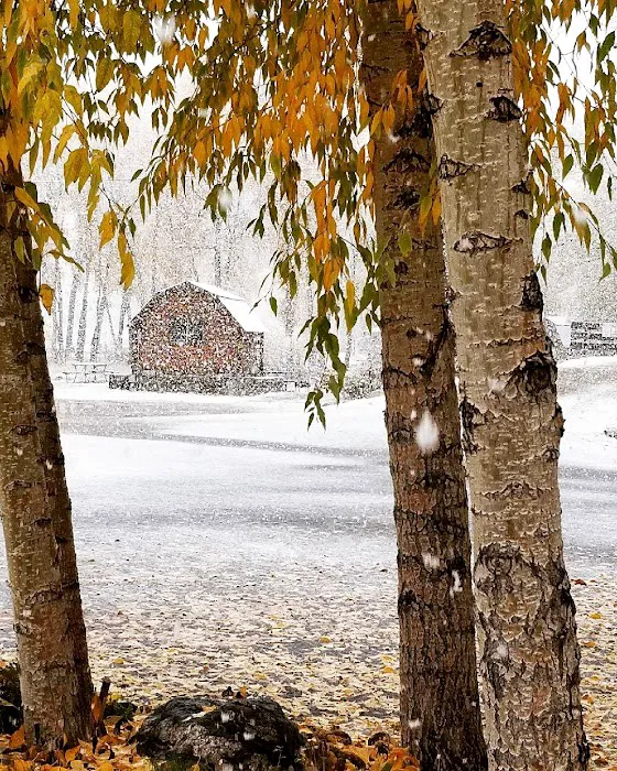 Steamboat Springs KOA Holiday Picture 4