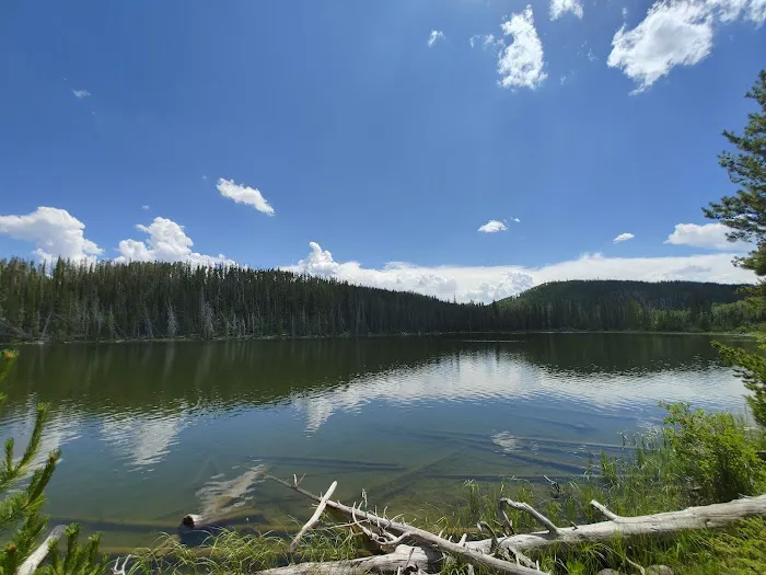 Teal Lake Campground Picture 8