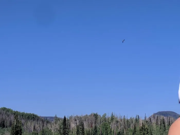 Teal Lake Campground Picture 4