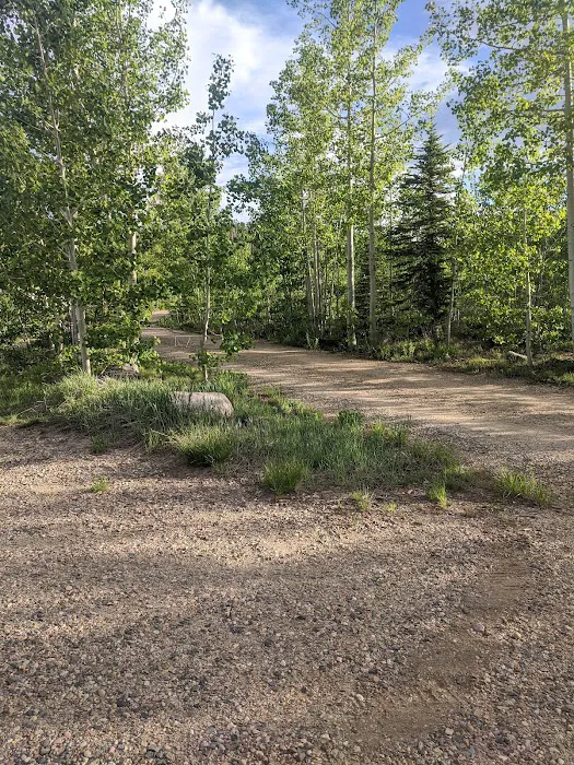 Teal Lake Campground Picture 9