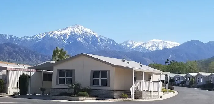 Home Orange Grove Mobile Estates Picture 3