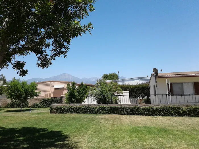 Home Orange Grove Mobile Estates Picture 1