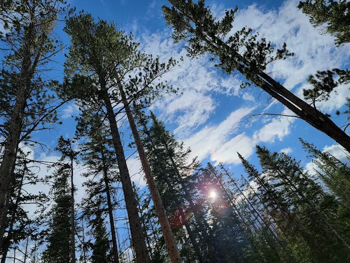 Chambers Lake Campground Picture 9