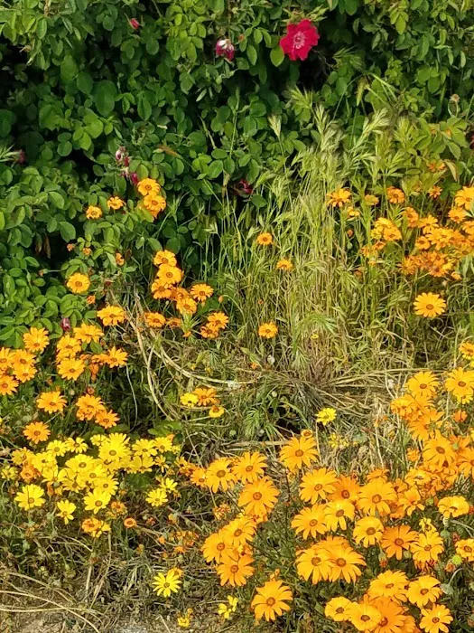 Redlands Ranch Picture 10