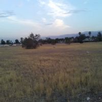 Redlands Ranch ico