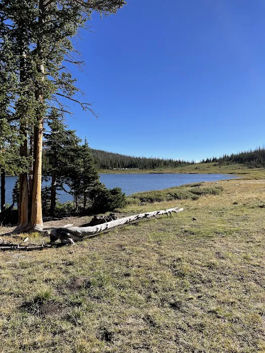 Camp Lake Picture 8