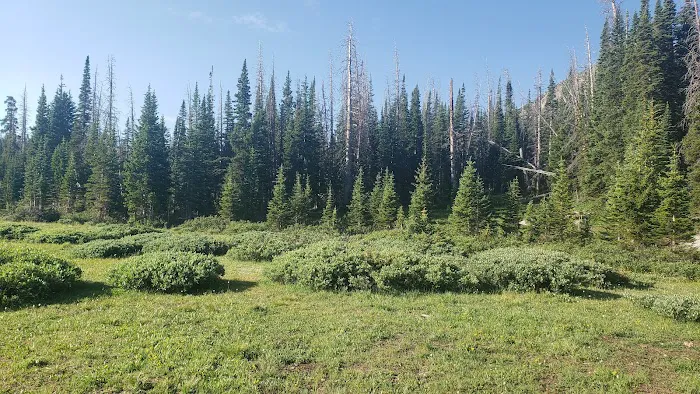 Camp Lake Picture 6