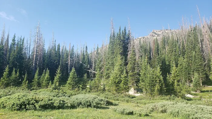Camp Lake Picture 10