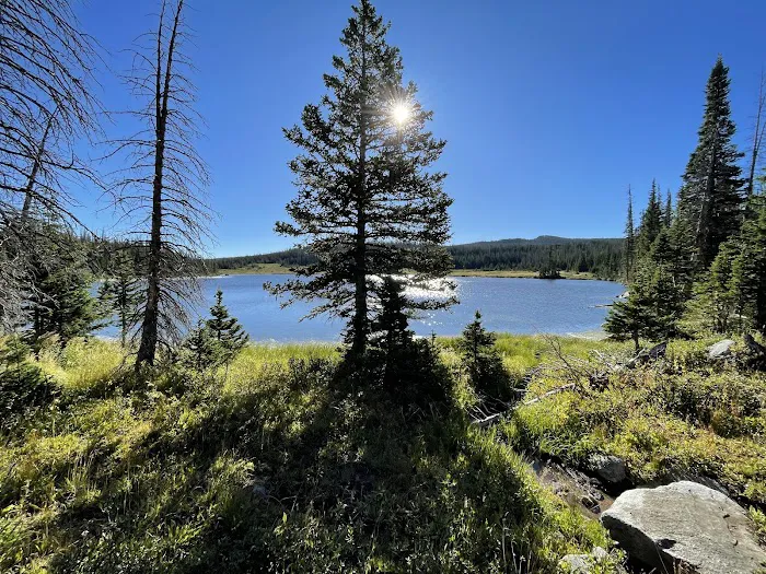Camp Lake Picture 7