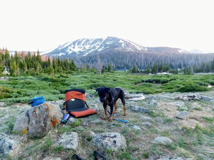 Camp Lake Picture 1